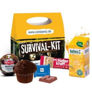 Snack pack Werbebox individuell bedruckt und gefüllt mit verschiedenen Süßigkeiten als Werbeartikel.